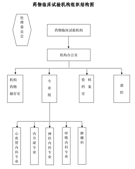 机构组织结构图